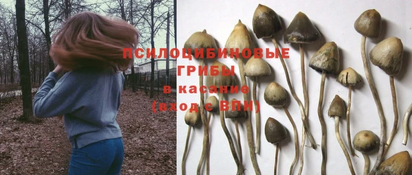 скорость Мегион