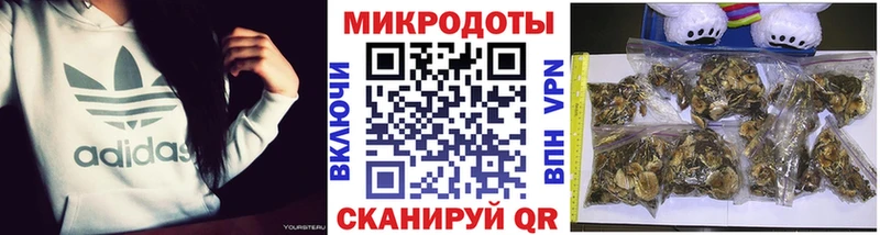 Псилоцибиновые грибы GOLDEN TEACHER  Купить где  Красавино 